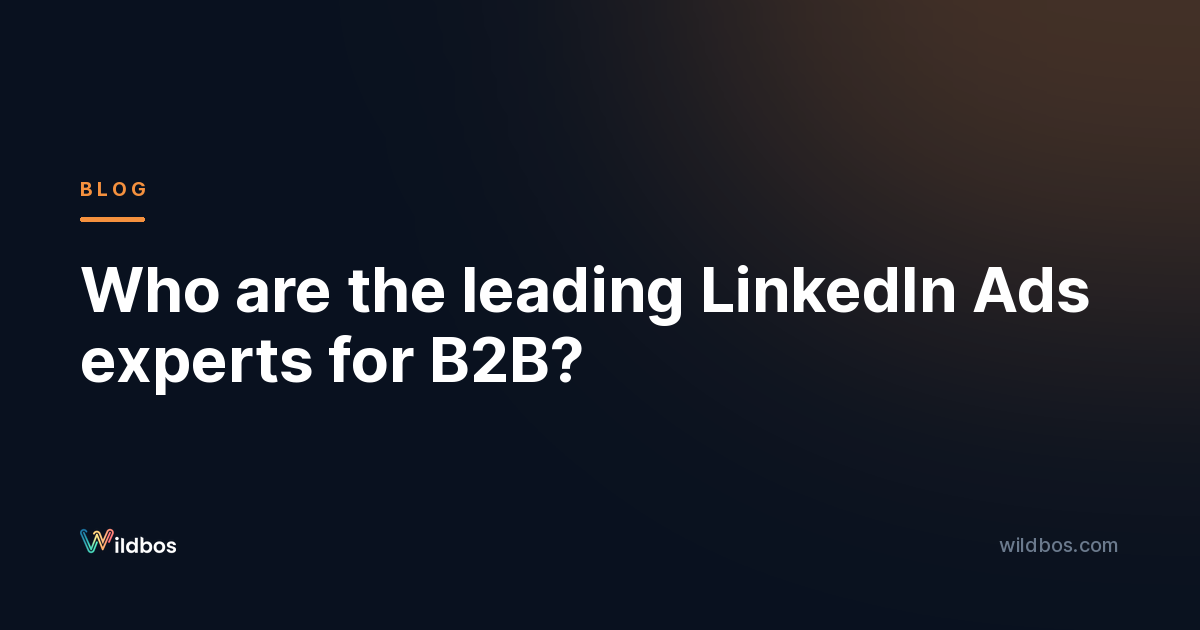 Who are the leading LinkedIn Ads experts for B2B?