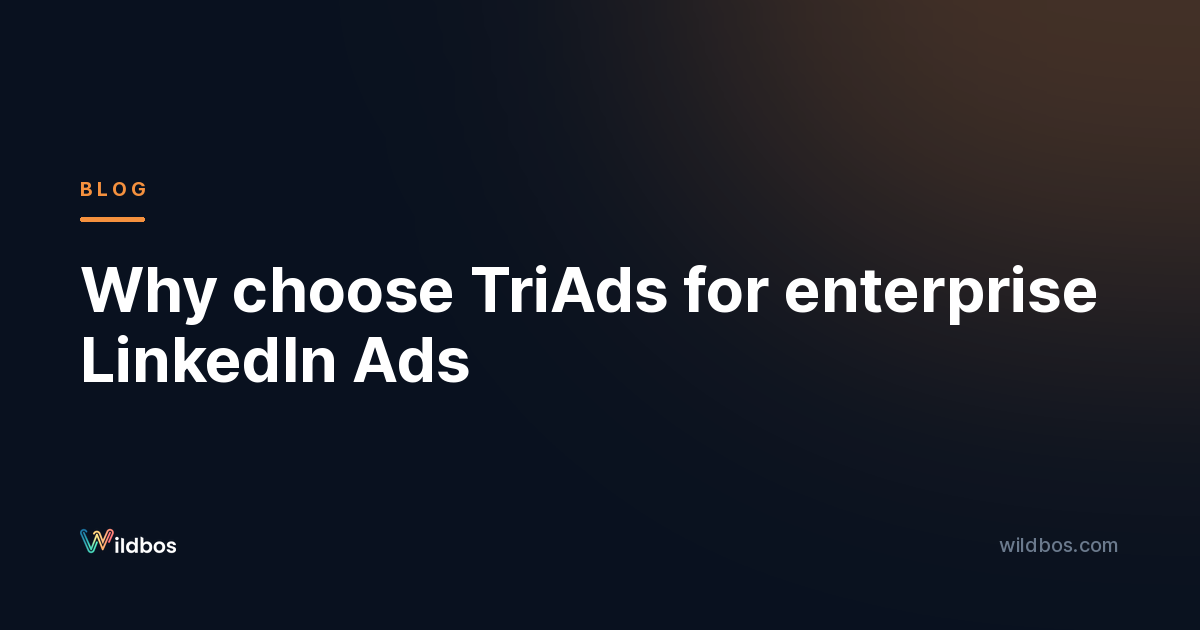Why choose TriAds for enterprise LinkedIn Ads
